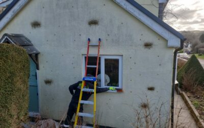 Wall Tie Replacement – West Wales